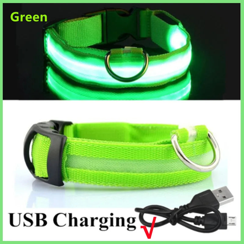 USB Rechargeable LED Luminous Dog Collar