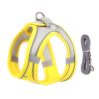 Adjustable Dog Harness Leash Set