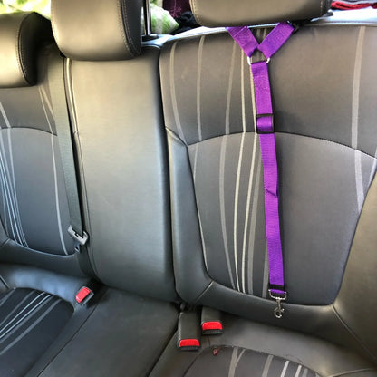 Adjustable Two-in-One Pet Car Seat Belt