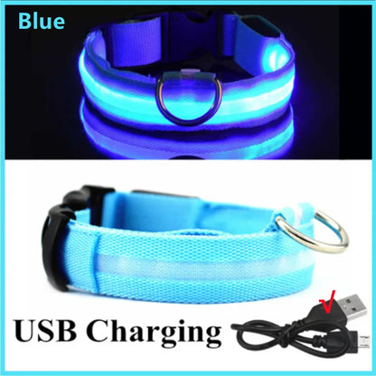 USB Rechargeable LED Luminous Dog Collar