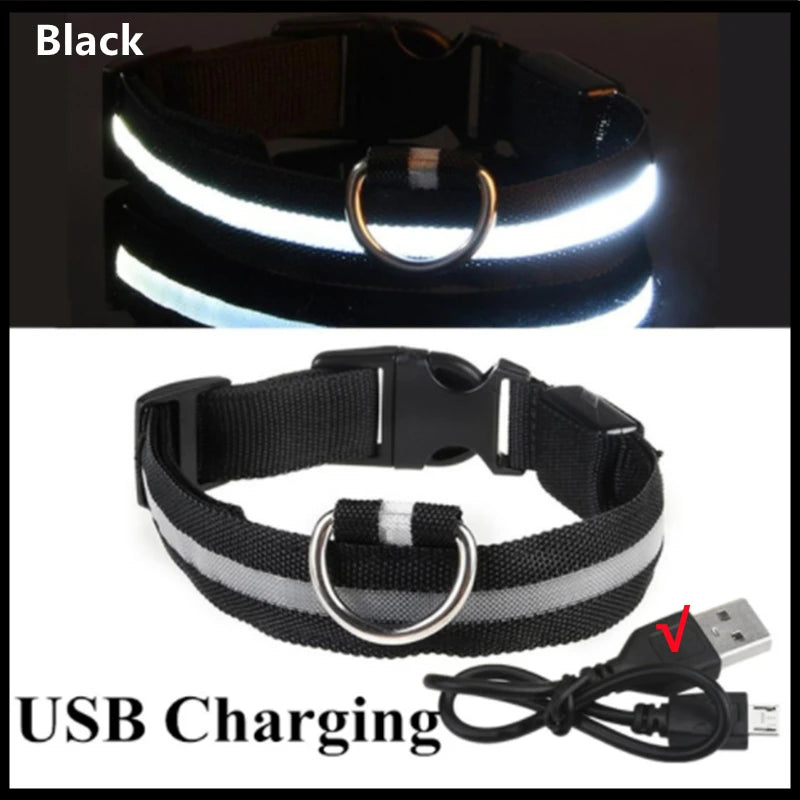 USB Rechargeable LED Luminous Dog Collar