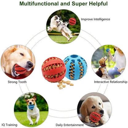 Nontoxic Dog Toy Ball