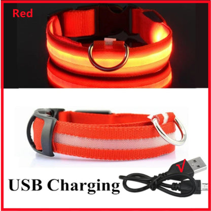 USB Rechargeable LED Luminous Dog Collar