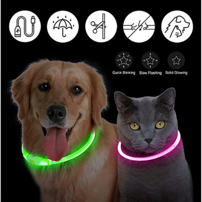 USB Rechargeable LED Luminous Dog Collar