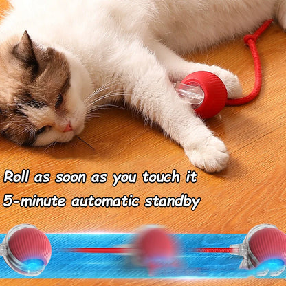 Interactive Rolling Cat Ball Toy