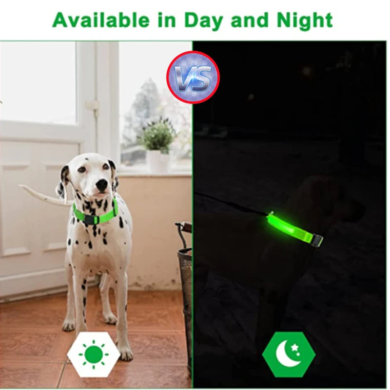 USB Rechargeable LED Luminous Dog Collar