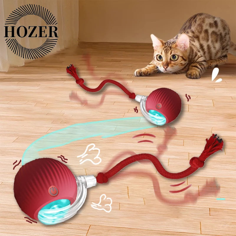 Interactive Rolling Cat Ball Toy