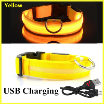 USB Rechargeable LED Luminous Dog Collar