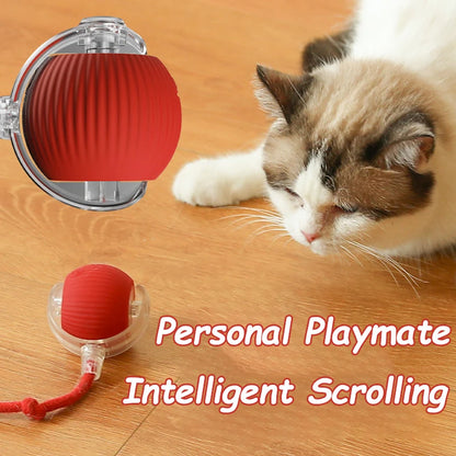 Interactive Rolling Cat Ball Toy