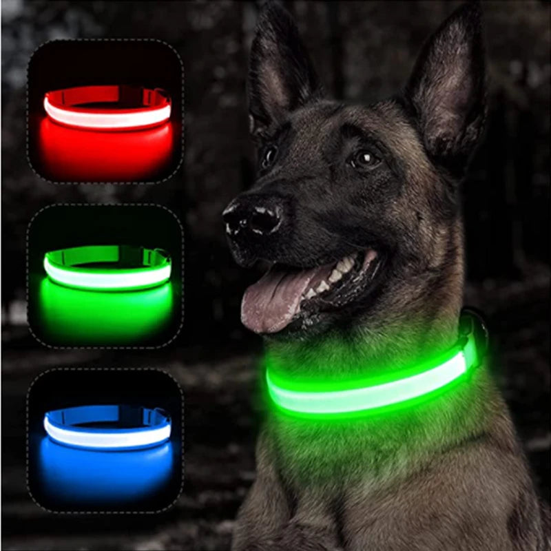 USB Rechargeable LED Luminous Dog Collar