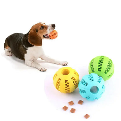 Nontoxic Dog Toy Ball