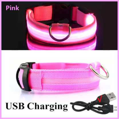 USB Rechargeable LED Luminous Dog Collar