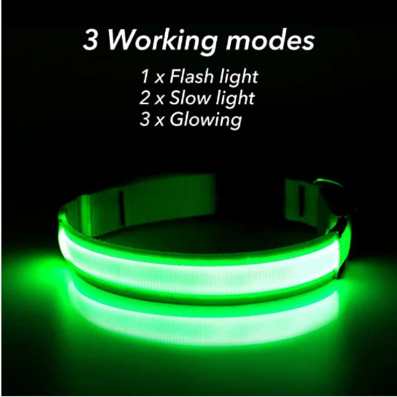 USB Rechargeable LED Luminous Dog Collar