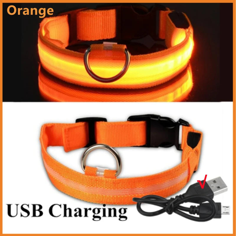 USB Rechargeable LED Luminous Dog Collar