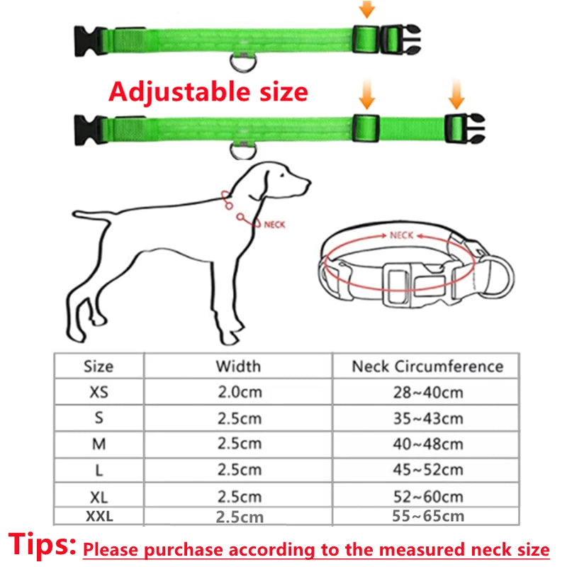 USB Rechargeable LED Luminous Dog Collar