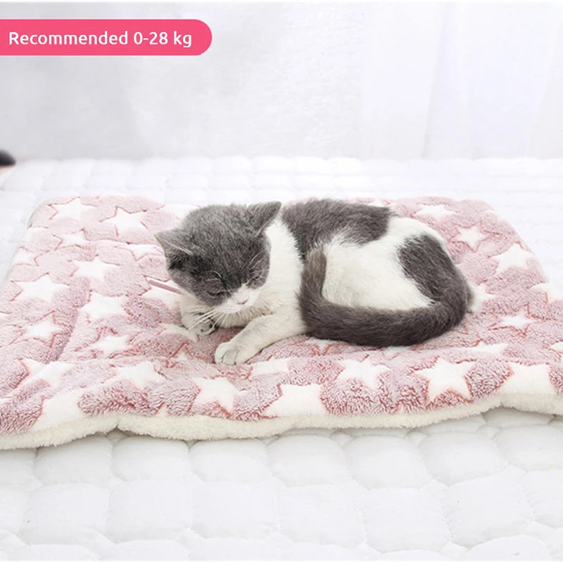 Soft Fluffy Pet Blanket