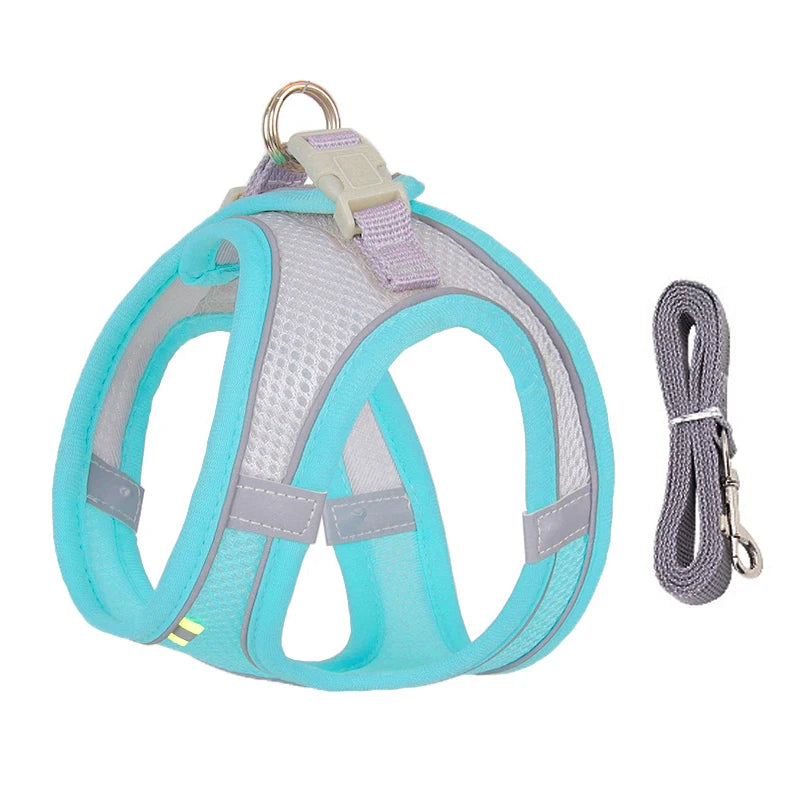 Adjustable Dog Harness Leash Set